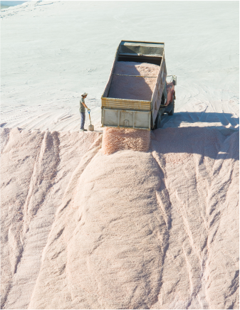 Sand Sucker Services